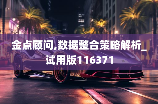 金点顾问,数据整合策略解析_试用版116371