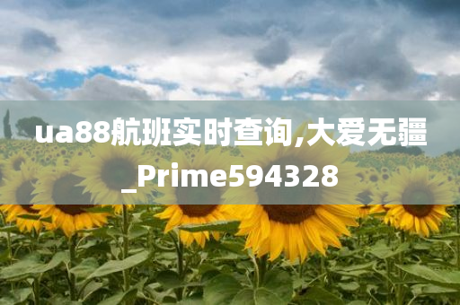 ua88航班实时查询,大爱无疆_Prime594328