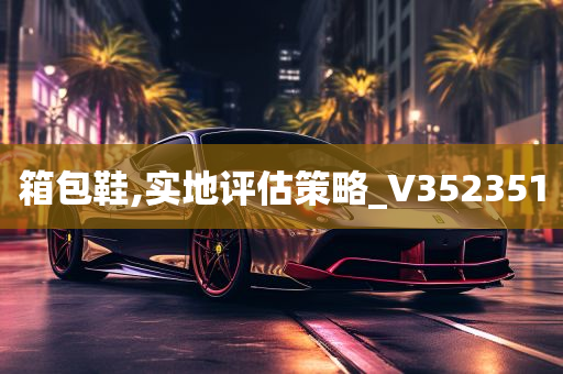 箱包鞋,实地评估策略_V352351