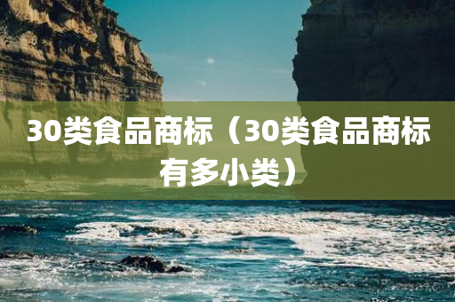 30类食品商标（30类食品商标有多小类）