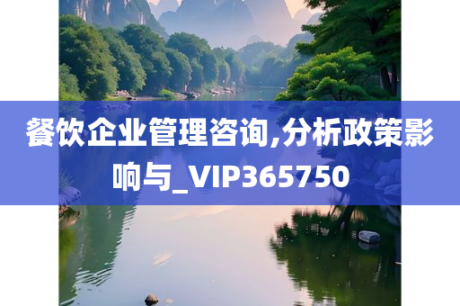 餐饮企业管理咨询,分析政策影响与_VIP365750