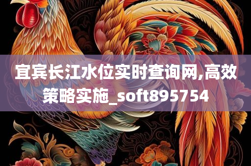 宜宾长江水位实时查询网,高效策略实施_soft895754