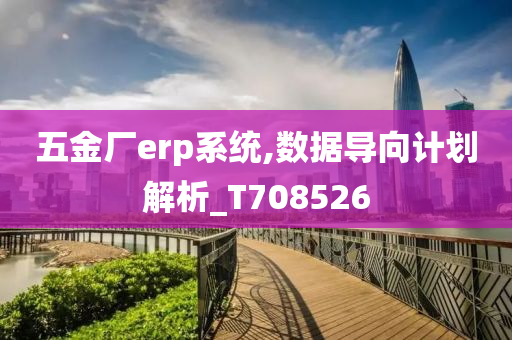 五金厂erp系统,数据导向计划解析_T708526