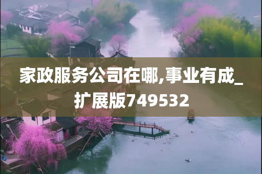 家政服务公司在哪,事业有成_扩展版749532