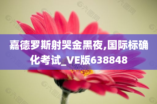 嘉德罗斯射哭金黑夜,国际标确化考试_VE版638848