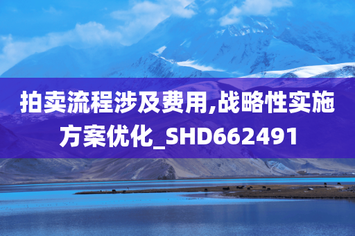 拍卖流程涉及费用,战略性实施方案优化_SHD662491