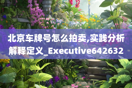 北京车牌号怎么拍卖,实践分析解释定义_Executive642632