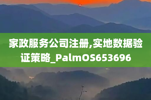 家政服务公司注册,实地数据验证策略_PalmOS653696