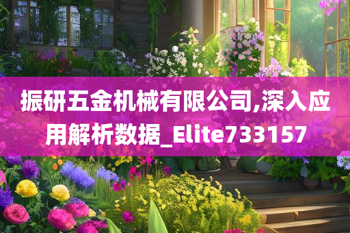 振研五金机械有限公司,深入应用解析数据_Elite733157