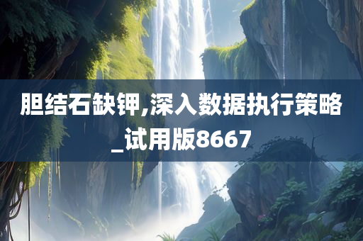 胆结石缺钾,深入数据执行策略_试用版8667