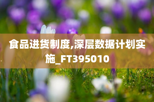 食品进货制度,深层数据计划实施_FT395010