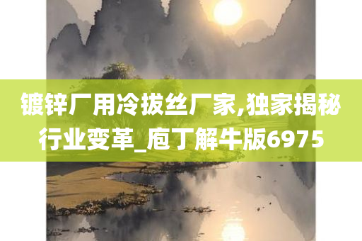 镀锌厂用冷拔丝厂家,独家揭秘行业变革_庖丁解牛版6975