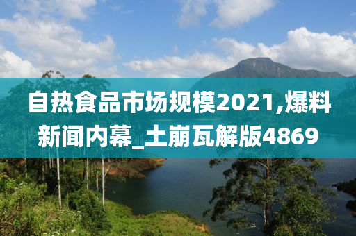 自热食品市场规模2021,爆料新闻内幕_土崩瓦解版4869