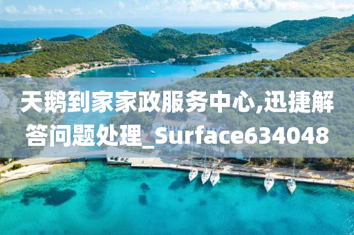 天鹅到家家政服务中心,迅捷解答问题处理_Surface634048