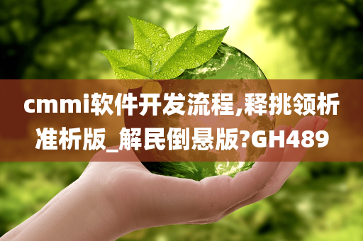 cmmi软件开发流程,释挑领析准析版_解民倒悬版?GH489