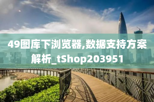 49图库下浏览器,数据支持方案解析_tShop203951