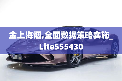 金上海烟,全面数据策略实施_Lite555430