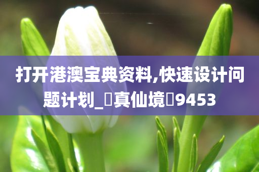 打开港澳宝典资料,快速设计问题计划_‌真仙境‌9453