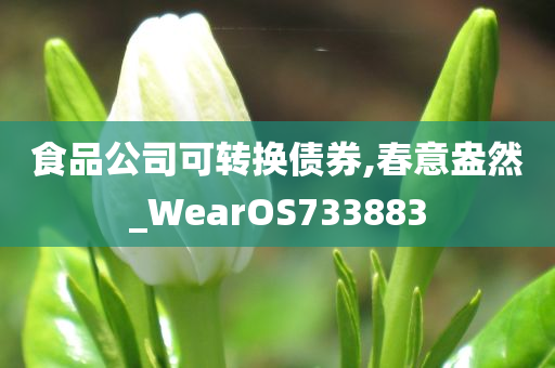 食品公司可转换债券,春意盎然_WearOS733883