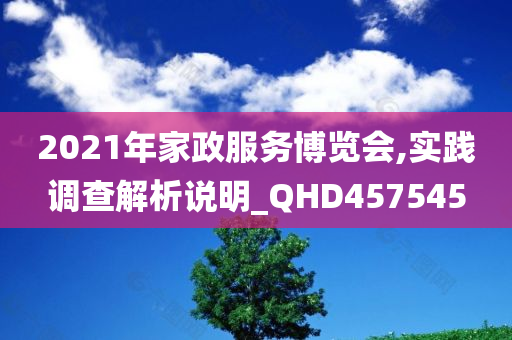 2021年家政服务博览会,实践调查解析说明_QHD457545