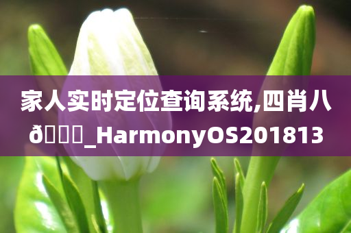 家人实时定位查询系统,四肖八🐎_HarmonyOS201813