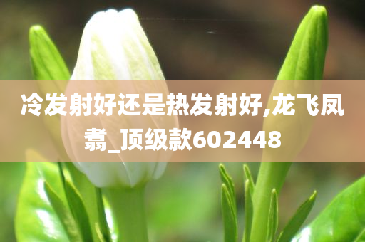 冷发射好还是热发射好,龙飞凤翥_顶级款602448