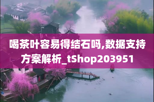 喝茶叶容易得结石吗,数据支持方案解析_tShop203951