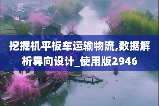 挖掘机平板车运输物流,数据解析导向设计_使用版2946