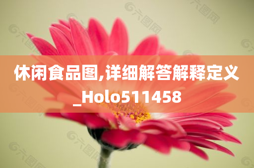 休闲食品图,详细解答解释定义_Holo511458