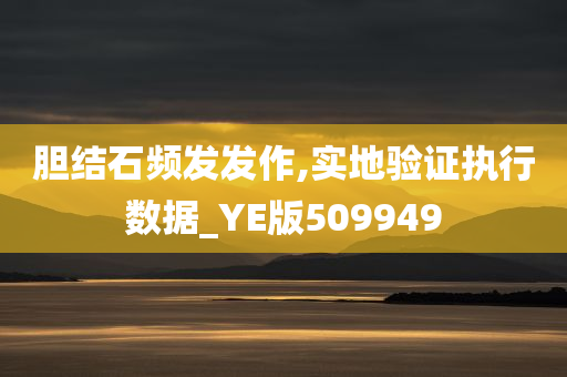 胆结石频发发作,实地验证执行数据_YE版509949