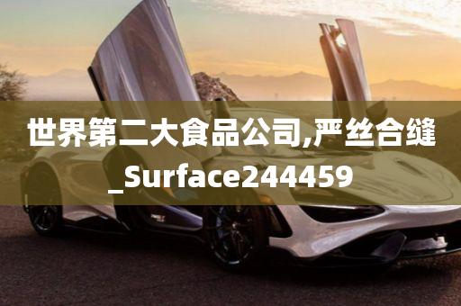 世界第二大食品公司,严丝合缝_Surface244459