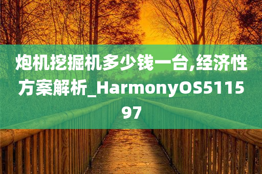 炮机挖掘机多少钱一台,经济性方案解析_HarmonyOS511597