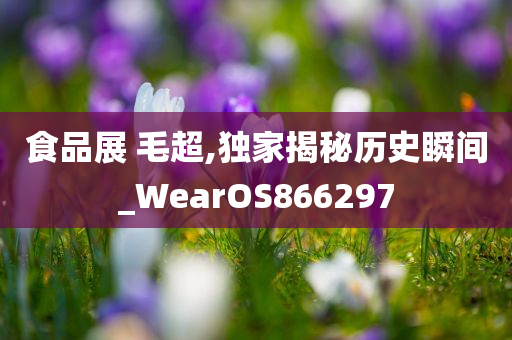 食品展 毛超,独家揭秘历史瞬间_WearOS866297