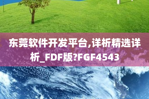 东莞软件开发平台,详析精选详析_FDF版?FGF4543