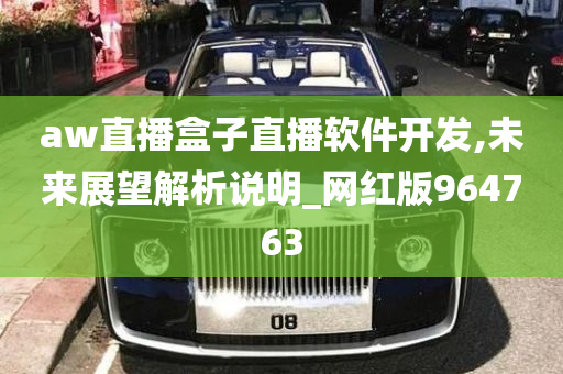 aw直播盒子直播软件开发,未来展望解析说明_网红版964763