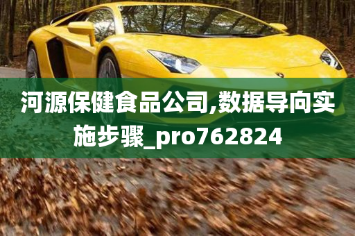 河源保健食品公司,数据导向实施步骤_pro762824