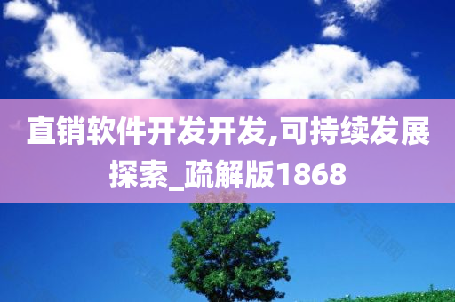 直销软件开发开发,可持续发展探索_疏解版1868