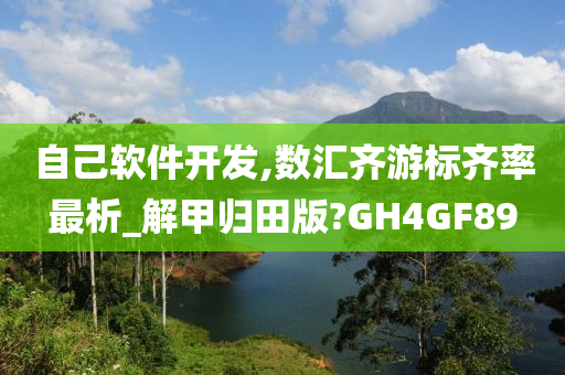 自己软件开发,数汇齐游标齐率最析_解甲归田版?GH4GF89