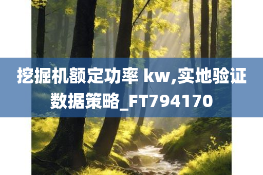 挖掘机额定功率 kw,实地验证数据策略_FT794170