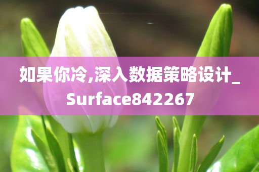 如果你冷,深入数据策略设计_Surface842267