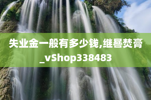 失业金一般有多少钱,继晷焚膏_vShop338483