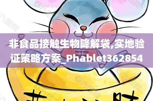 非食品接触生物降解袋,实地验证策略方案_Phablet362854