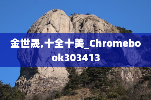 金世晟,十全十美_Chromebook303413