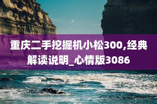 重庆二手挖掘机小松300,经典解读说明_心情版3086