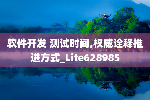 软件开发 测试时间,权威诠释推进方式_Lite628985