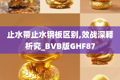 止水带止水钢板区别,效战深释析究_BVB版GHF87