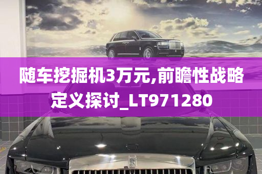 随车挖掘机3万元,前瞻性战略定义探讨_LT971280