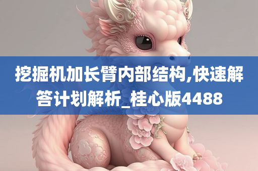 挖掘机加长臂内部结构,快速解答计划解析_桂心版4488