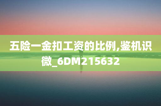 五险一金扣工资的比例,鉴机识微_6DM215632