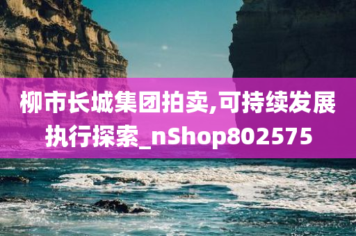 柳市长城集团拍卖,可持续发展执行探索_nShop802575